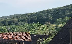 Maison Familiale Au Coeur Du Lot